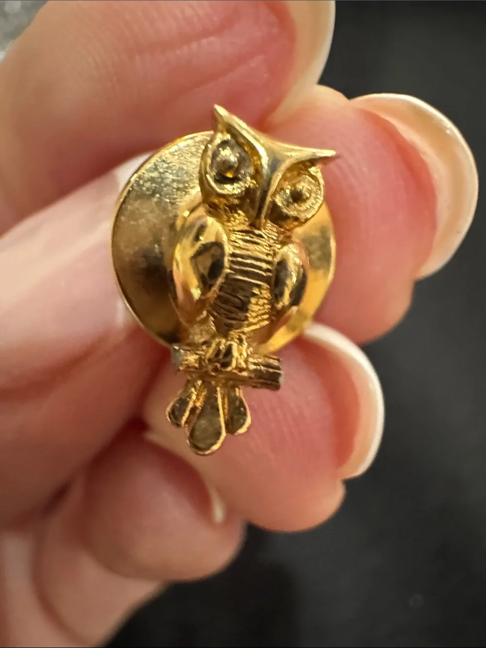 Vintage Avon Gold-Tone Owl Pin - Unisex Accessory